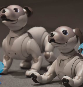 Aibo, Si Robot Anjing yang Lucu dan Pintar 15 Aibo, Si Robot Anjing yang Lucu dan Pintar 9